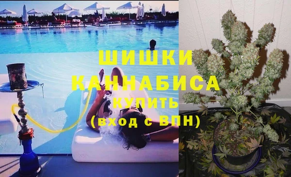 ешки Алзамай