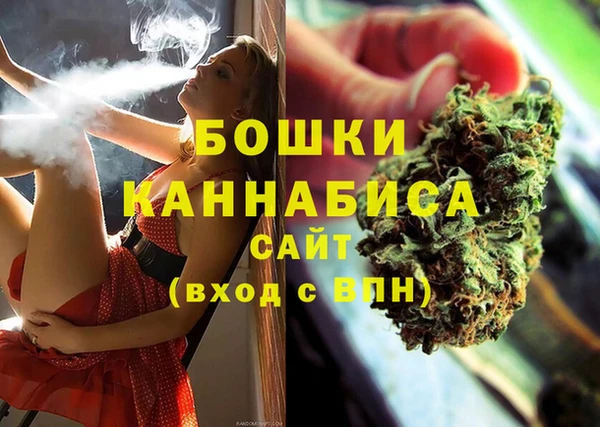 ешки Алзамай