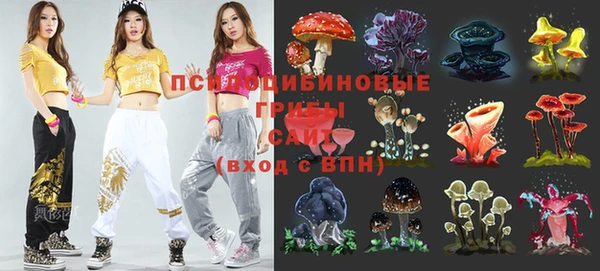 ешки Алзамай