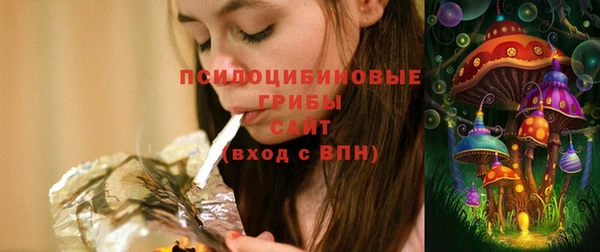 ешки Алзамай