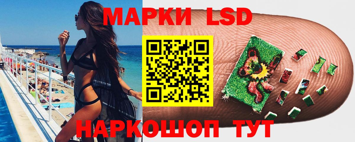 где купить   Марки N-bome  Вход с VPN  Марки N-bome 1,5мг  Лесной 