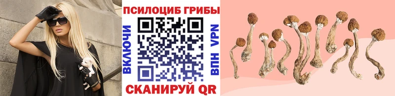 МЕГА сайт  что такое   Лесной  площадка официальный сайт  Галлюциногенные грибы GOLDEN TEACHER 