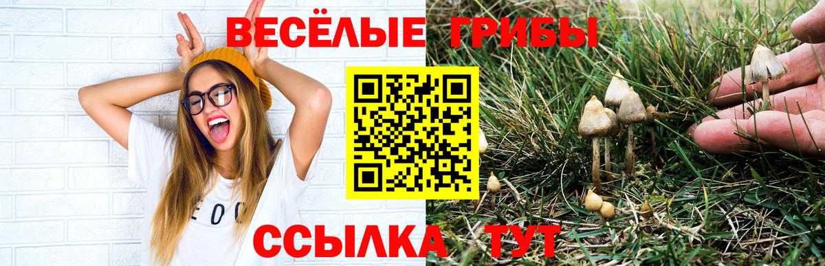 Псилоцибиновые грибы MAGIC MUSHROOMS  Вход с VPN  Лесной 