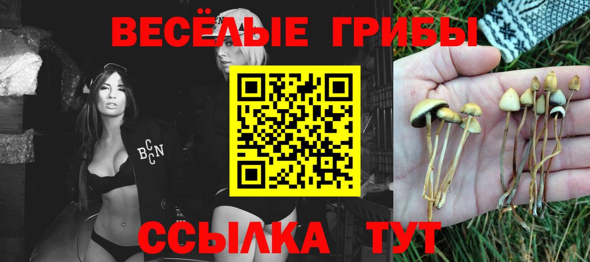 Галлюциногенные грибы прущие грибы Лесной
