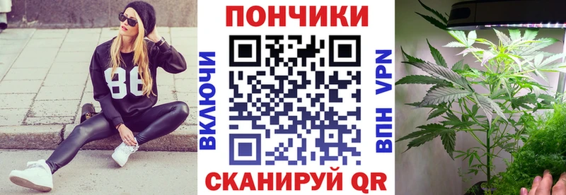 Бошки Шишки THC 21%  Лесной 